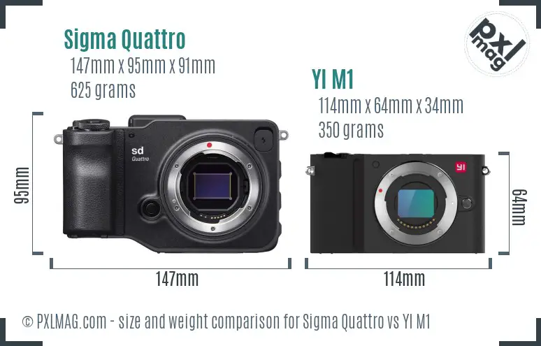 Sigma Quattro vs YI M1 size comparison