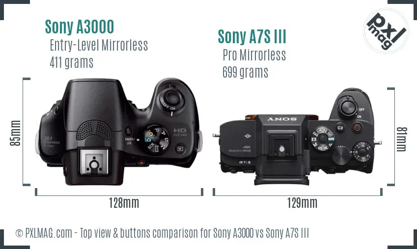Sony A3000 vs Sony A7S III top view buttons comparison
