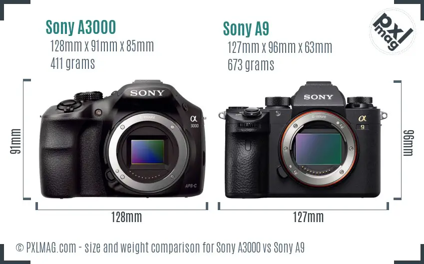 Sony A3000 vs Sony A9 size comparison