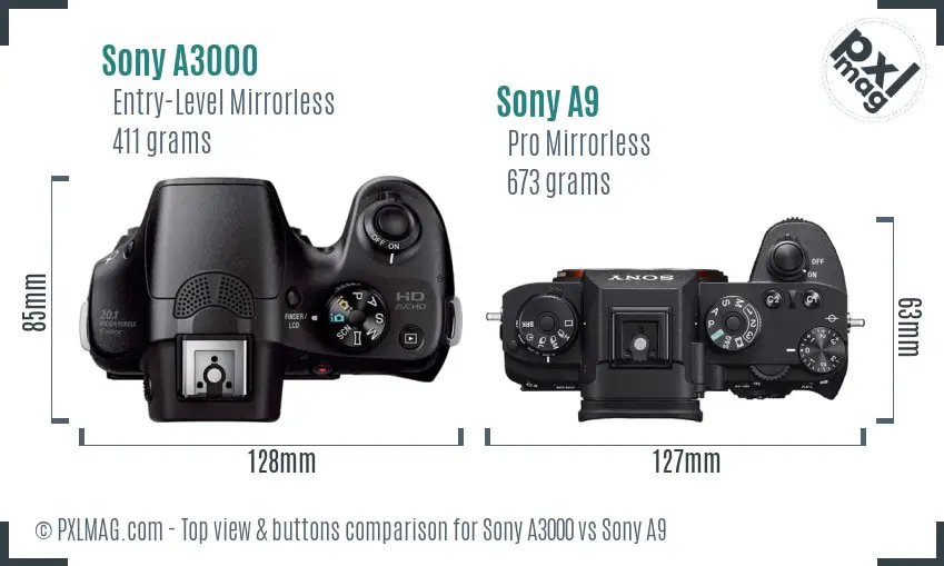 Sony A3000 vs Sony A9 top view buttons comparison