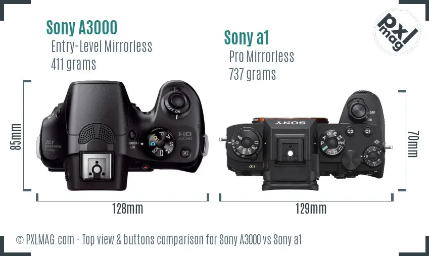 Sony A3000 vs Sony a1 top view buttons comparison
