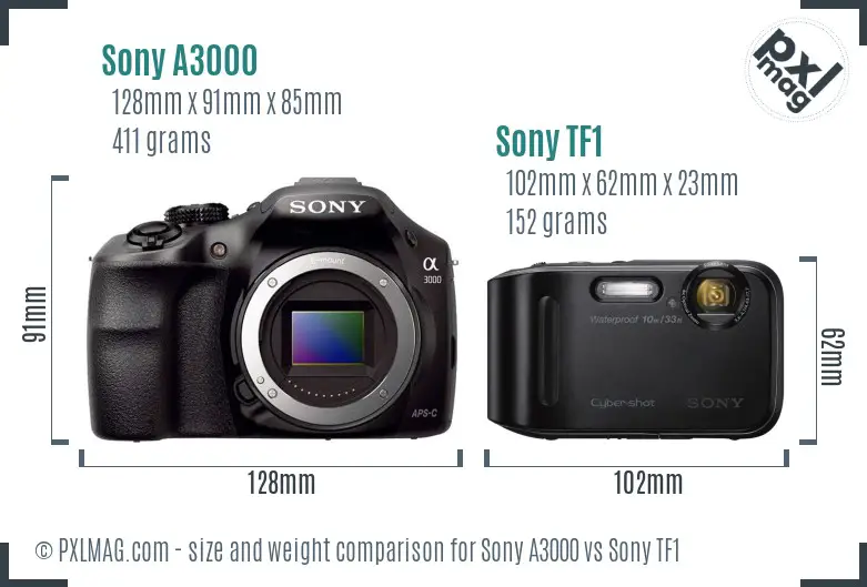 Sony A3000 vs Sony TF1 size comparison