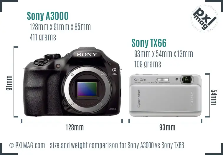 Sony A3000 vs Sony TX66 size comparison