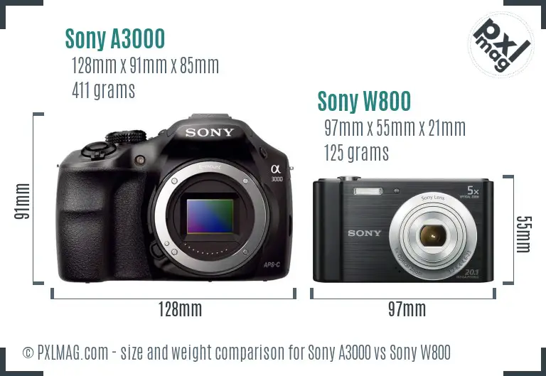 Sony A3000 vs Sony W800 size comparison