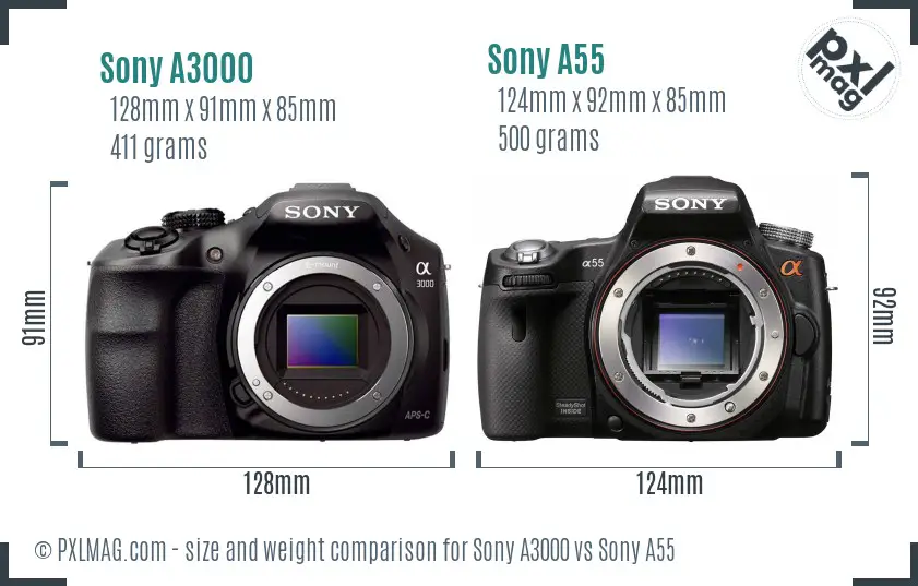 Sony A3000 vs Sony A55 size comparison