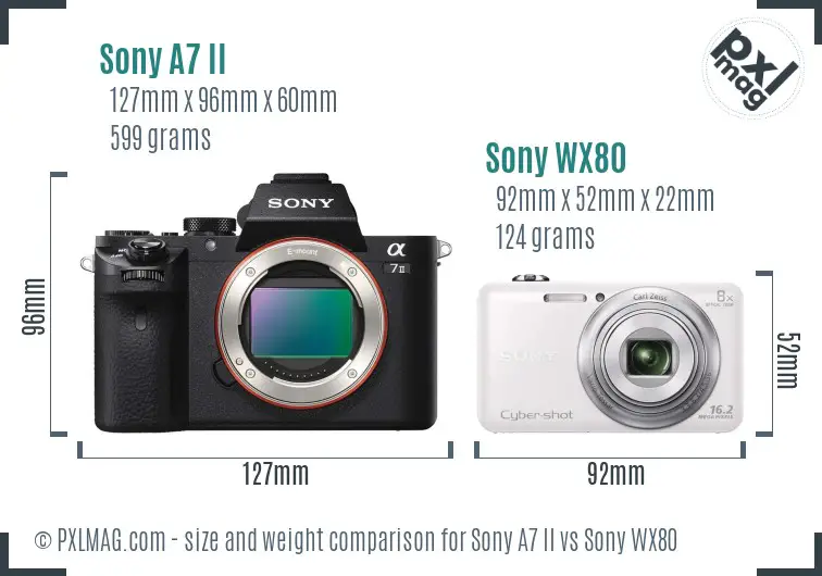 Size and Ergonomics Comparison