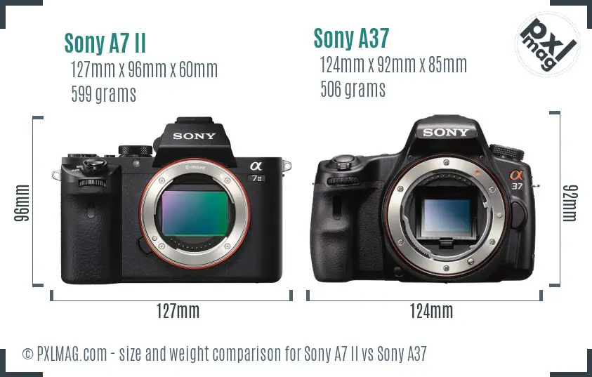 Sony A7 II vs Sony A37 size comparison