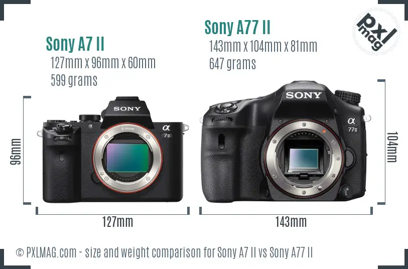 Sony A7 II vs Sony A77 II size comparison