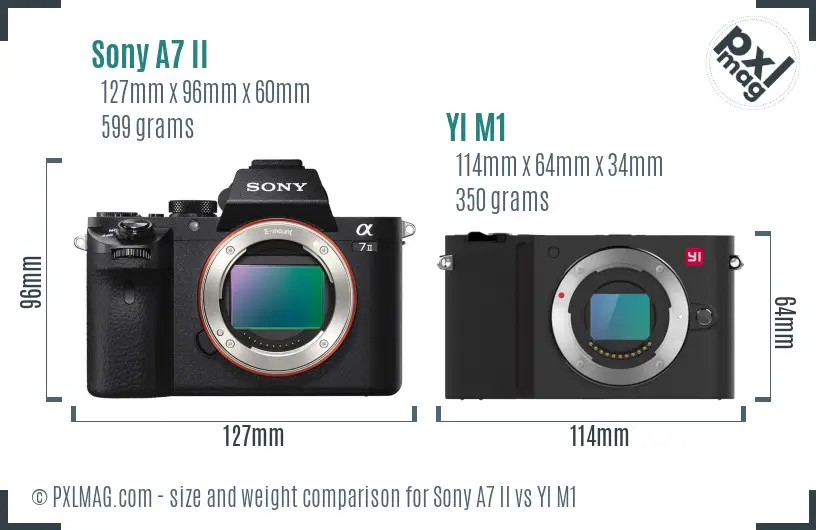 Sony A7 II vs YI M1 size comparison