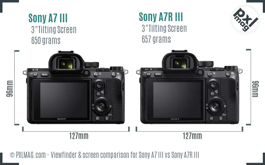 Sony A7 III vs Sony A7R III Screen and Viewfinder comparison