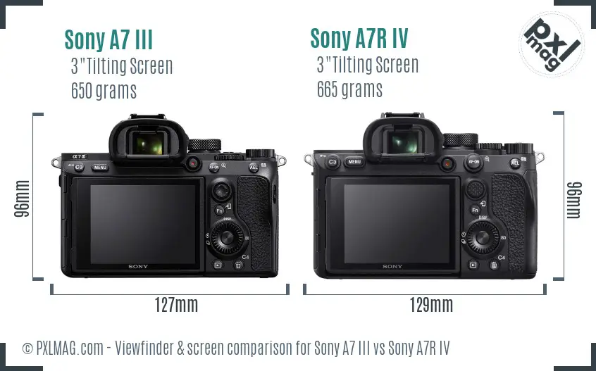 Sony A7 III vs Sony A7R IV Screen and Viewfinder comparison