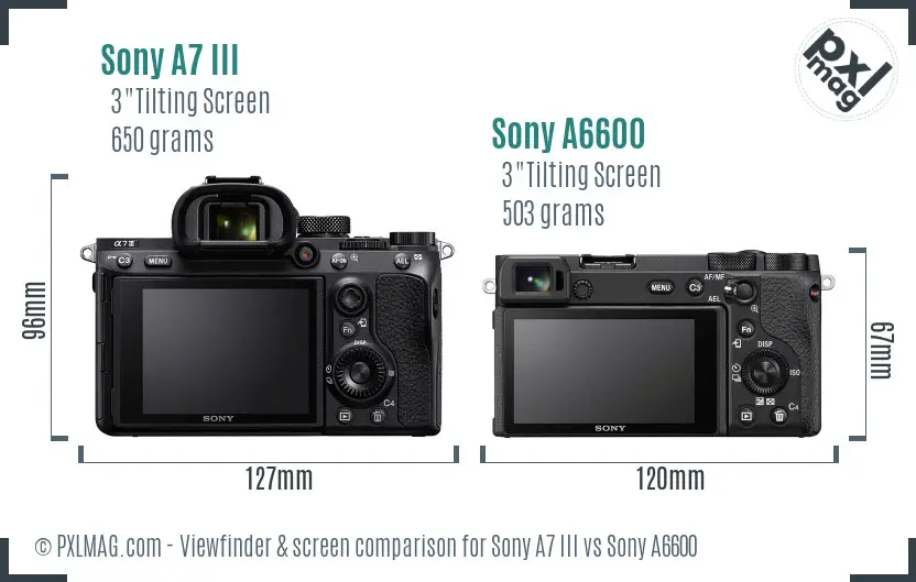 Sony A7 III vs Sony A6600 Screen and Viewfinder comparison
