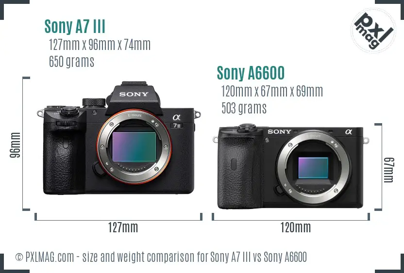 Sony A7 III vs Sony A6600 size comparison