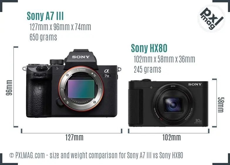 Sony A7 III vs Sony HX80 size comparison