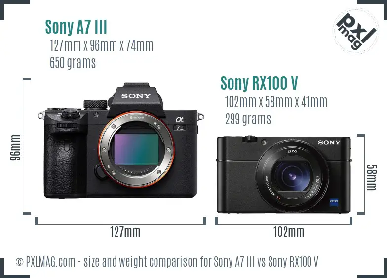 Sony A7 III vs Sony RX100 V size comparison