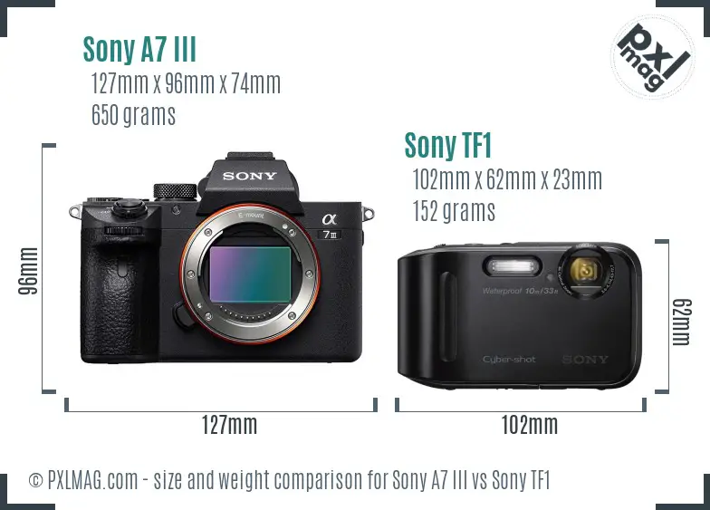 Sony A7 III vs Sony TF1 size comparison