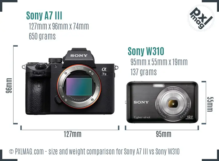 Sony A7 III vs Sony W310 size comparison