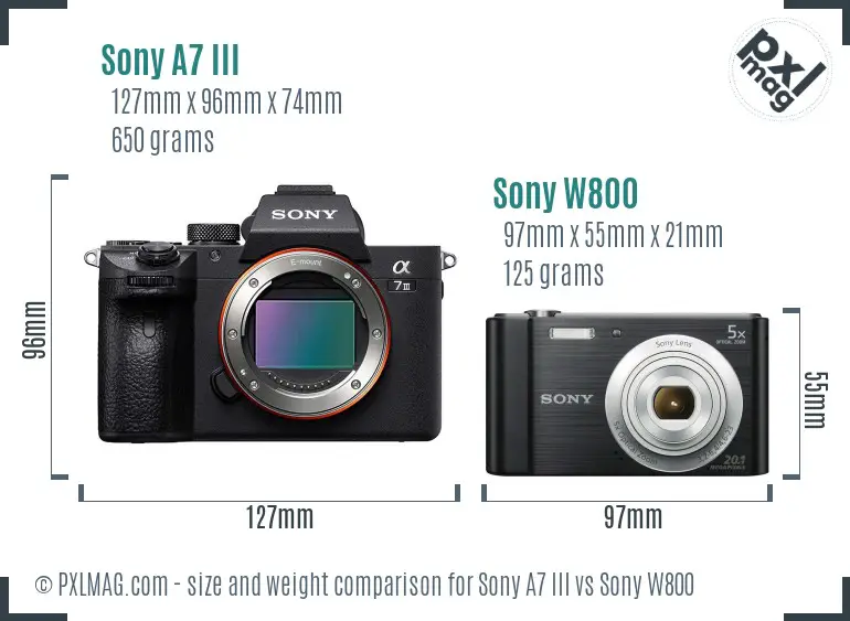 Sony A7 III vs Sony W800 size comparison