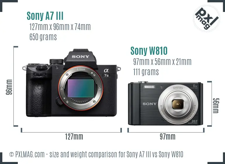 Sony A7 III vs Sony W810 size comparison