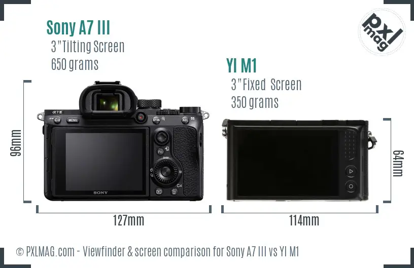 Sony A7 III vs YI M1 Screen and Viewfinder comparison