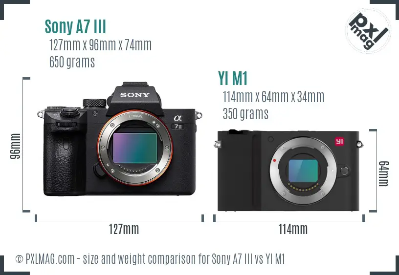 Sony A7 III vs YI M1 size comparison