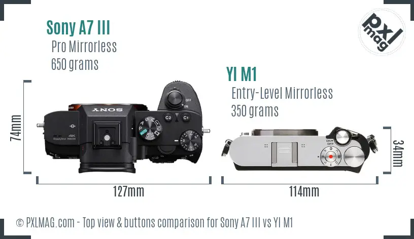 Sony A7 III vs YI M1 top view buttons comparison