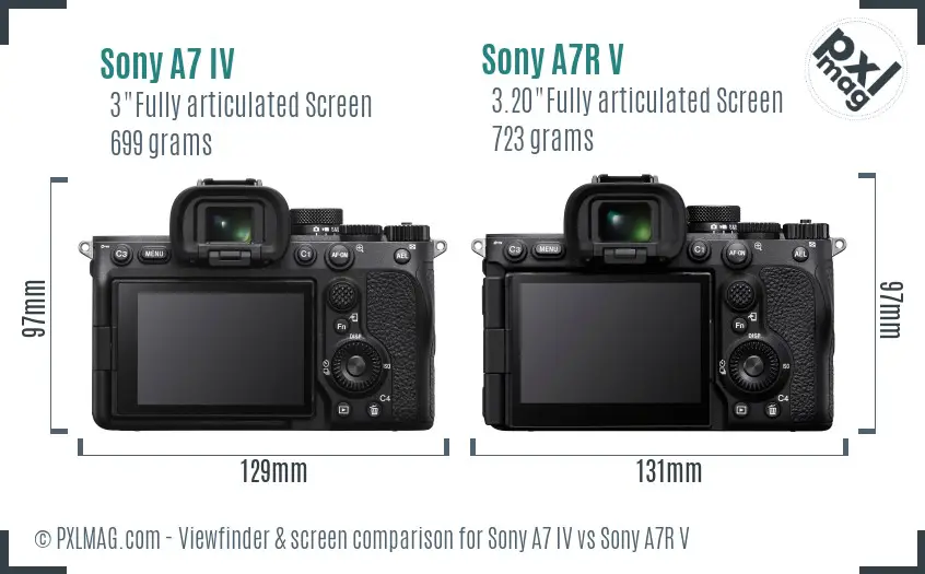 Sony A7 IV vs Sony A7R V Screen and Viewfinder comparison