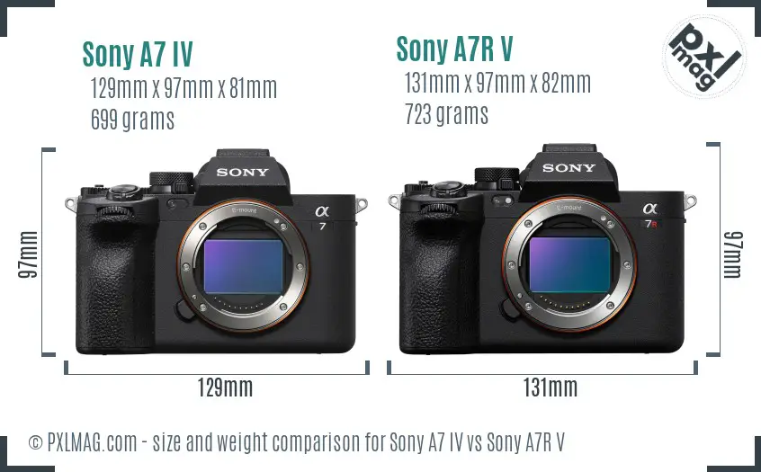 Sony A7 IV vs Sony A7R V size comparison