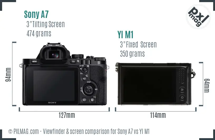 Sony A7 vs YI M1 Screen and Viewfinder comparison