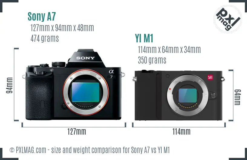 Sony A7 vs YI M1 size comparison