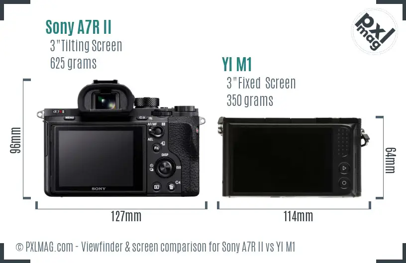 Sony A7R II vs YI M1 Screen and Viewfinder comparison