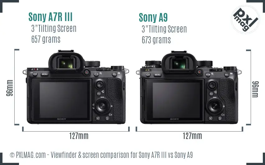Sony A7R III vs Sony A9 Screen and Viewfinder comparison