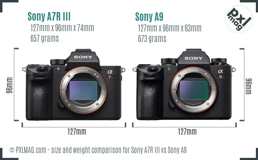 Sony A7R III vs Sony A9 size comparison