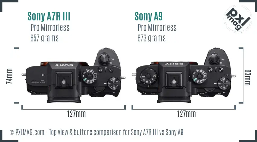 Sony A7R III vs Sony A9 top view buttons comparison