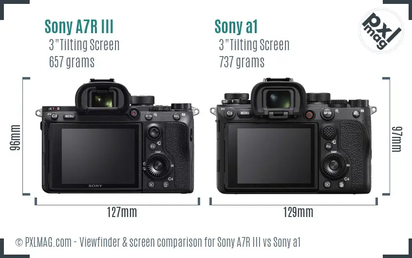 Sony A7R III vs Sony a1 Screen and Viewfinder comparison
