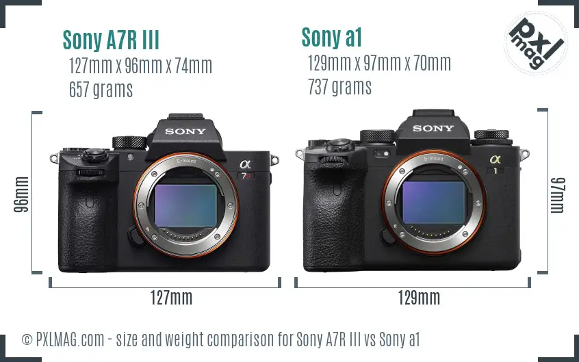 Sony A7R III vs Sony a1 size comparison