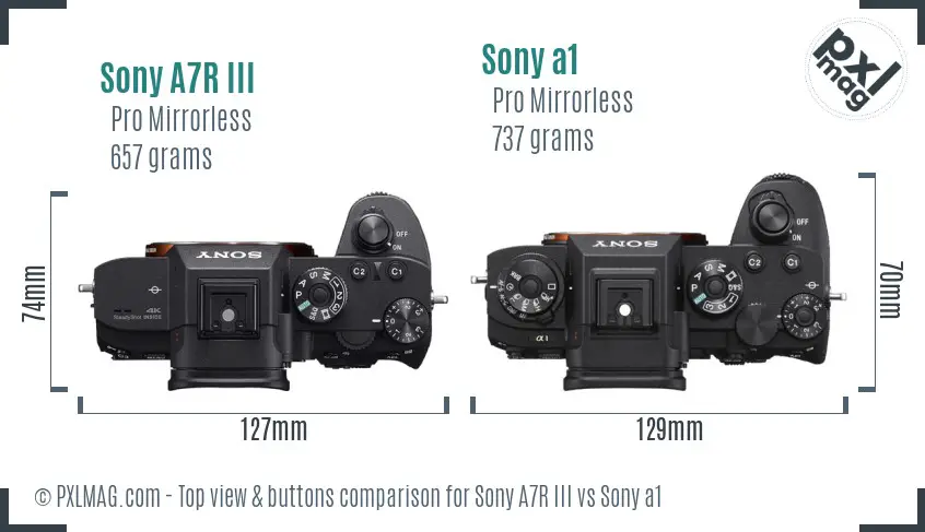 Sony A7R III vs Sony a1 top view buttons comparison