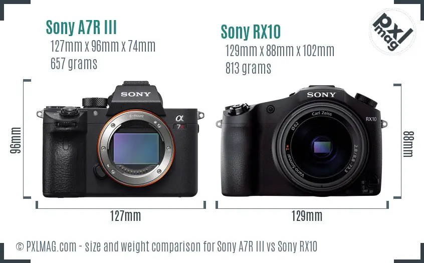 Sony A7R III vs Sony RX10 size comparison