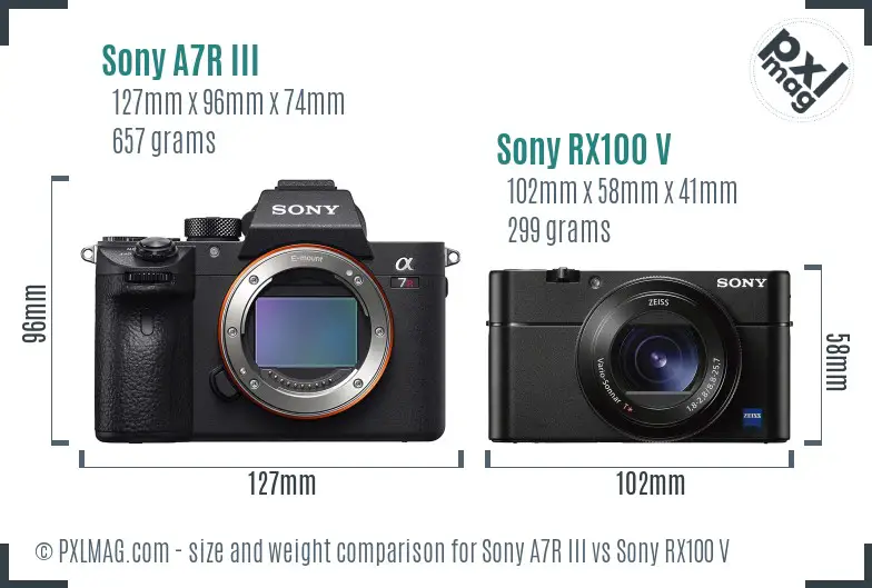 Sony A7R III vs Sony RX100 V size comparison