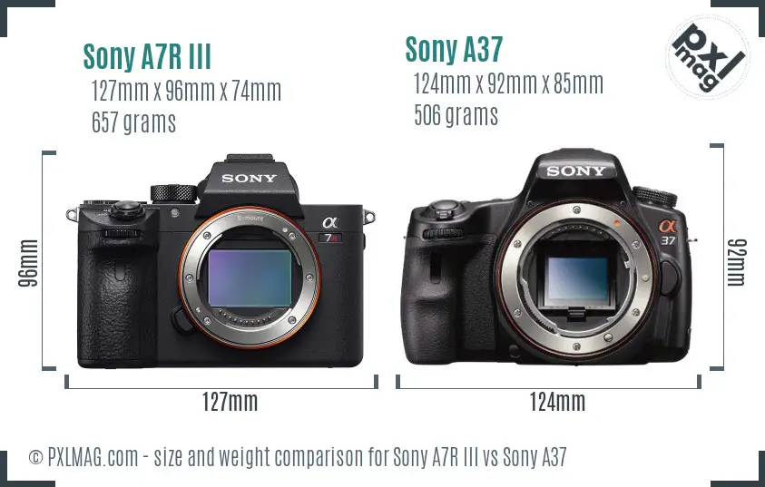 Sony A7R III vs Sony A37 size comparison