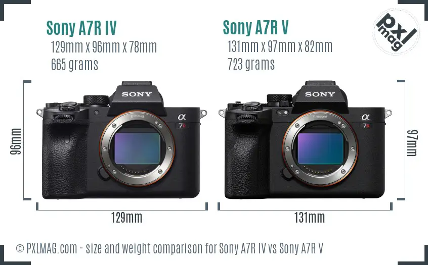 Sony A7R IV vs Sony A7R V size comparison