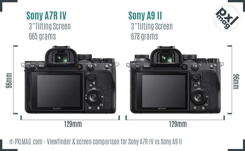 Sony A7R IV vs Sony A9 II Screen and Viewfinder comparison