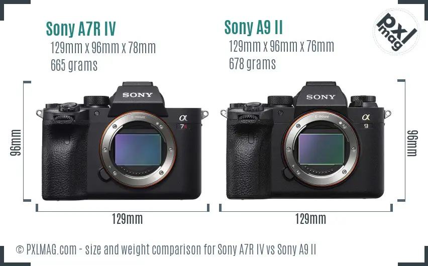 Sony A7R IV vs Sony A9 II size comparison