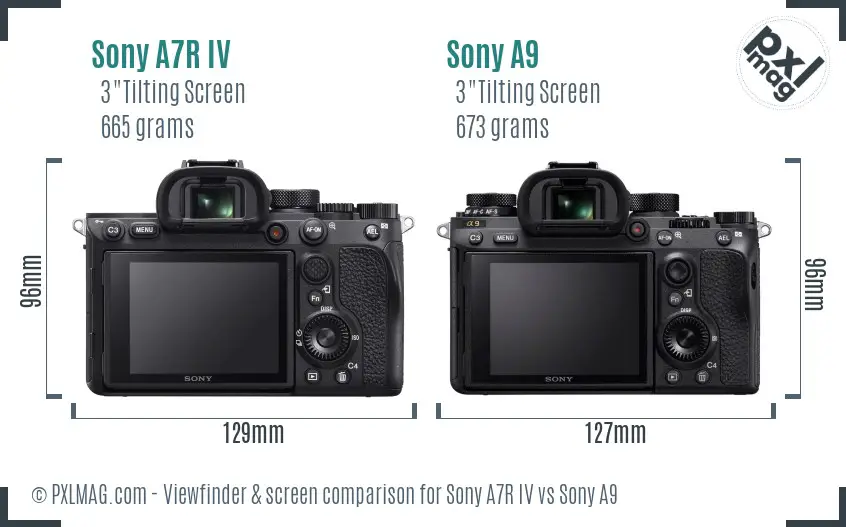 Sony A7R IV vs Sony A9 Screen and Viewfinder comparison