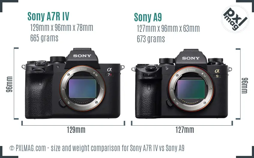 Sony A7R IV vs Sony A9 size comparison