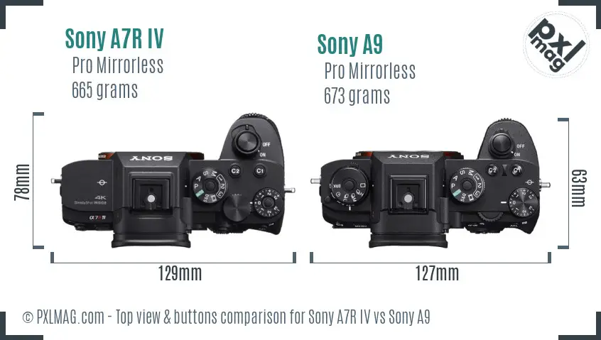 Sony A7R IV vs Sony A9 top view buttons comparison