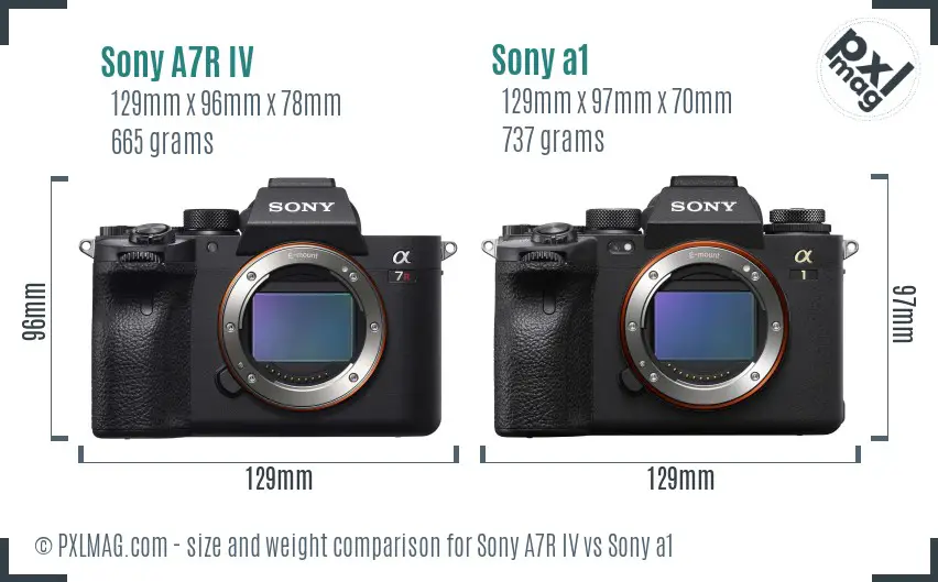 Sony A7R IV vs Sony a1 size comparison