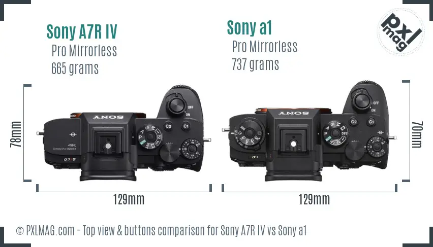 Sony A7R IV vs Sony a1 top view buttons comparison
