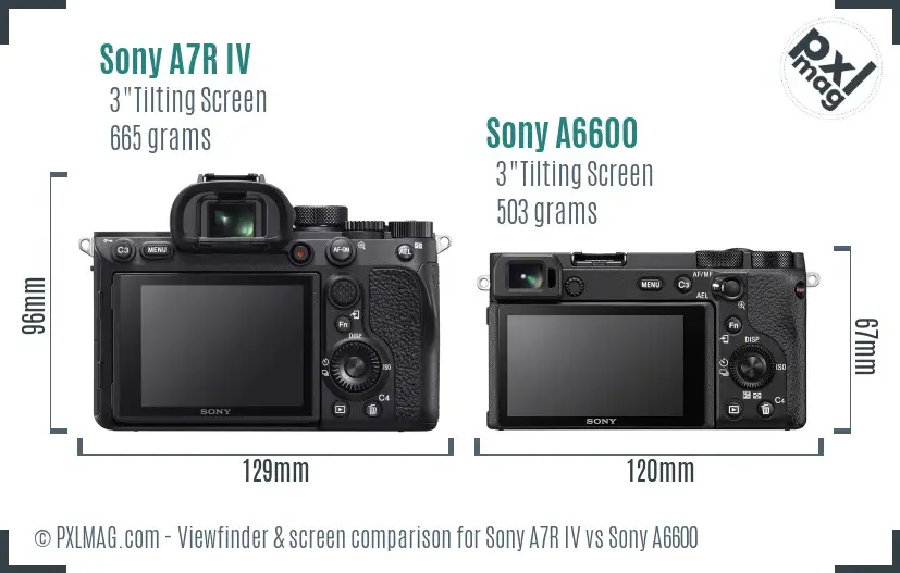 Sony A7R IV vs Sony A6600 Screen and Viewfinder comparison