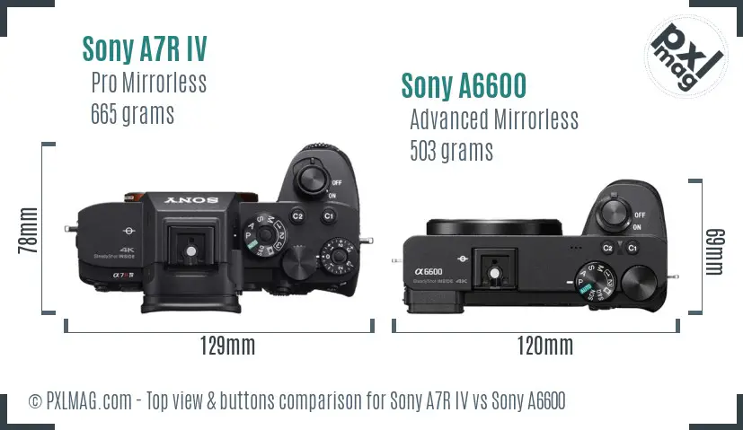 Sony A7R IV vs Sony A6600 top view buttons comparison